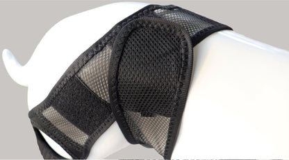 Dog Knee Brace - ACL/CCL Cruciate Ligament Support & Joint Recovery