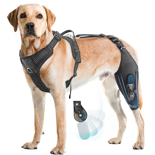 Dog Knee Brace Strap for Torn ACL