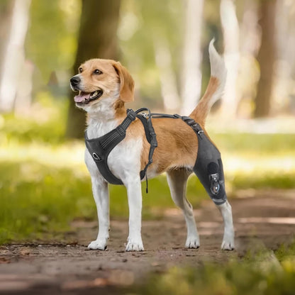 Dog Knee Brace Strap for Torn ACL
