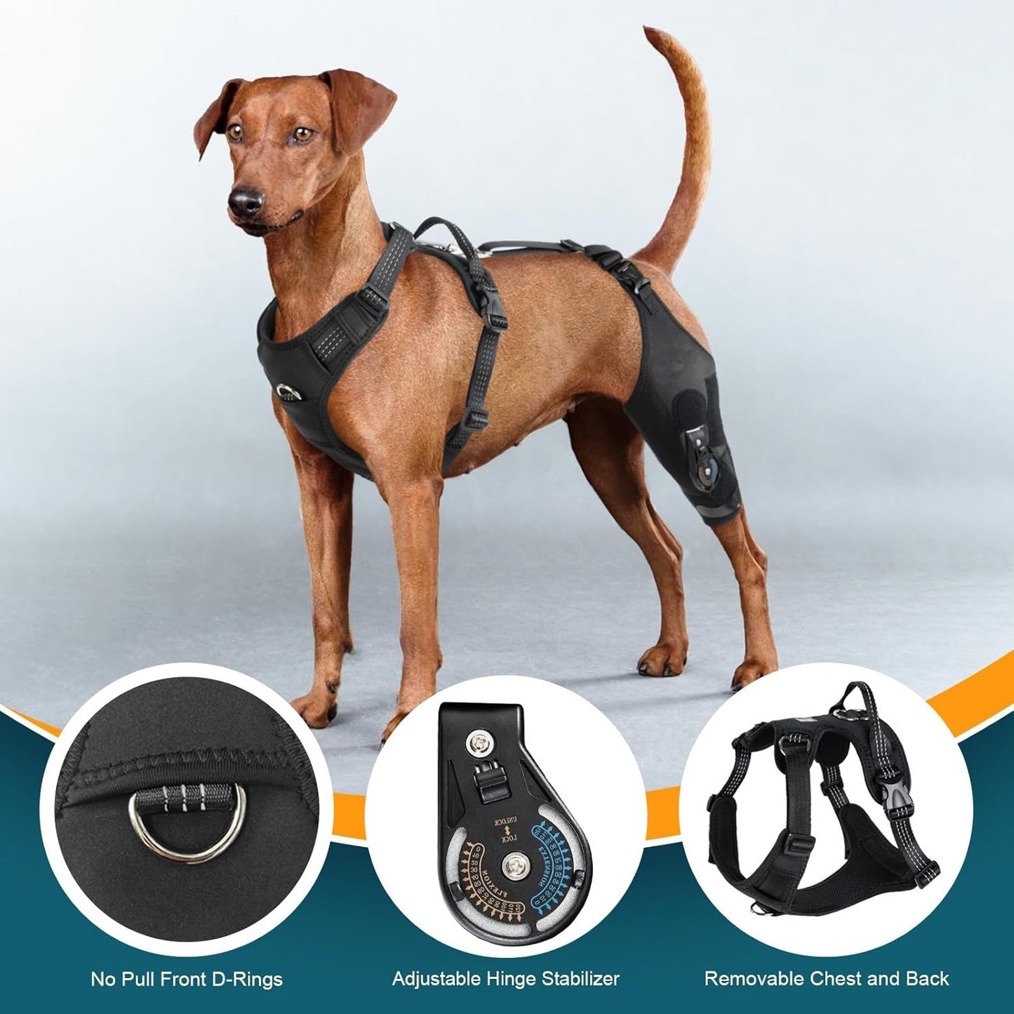 Dog Knee Brace Strap for Torn ACL