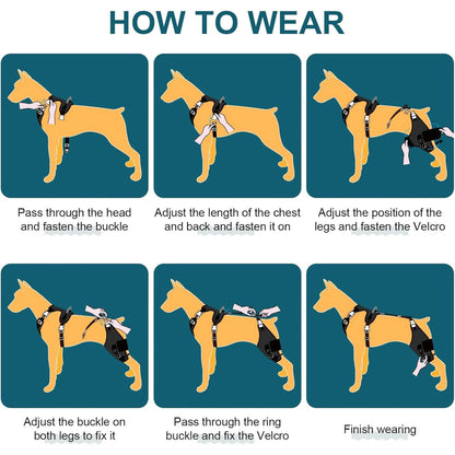 Dog Knee Brace Strap for Torn ACL