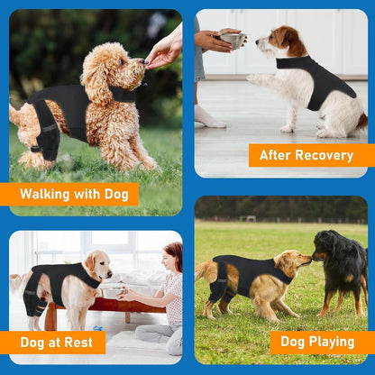 Collage of a dog wearing a recovery Double Hind Leg Knee Brace in various scenarios.