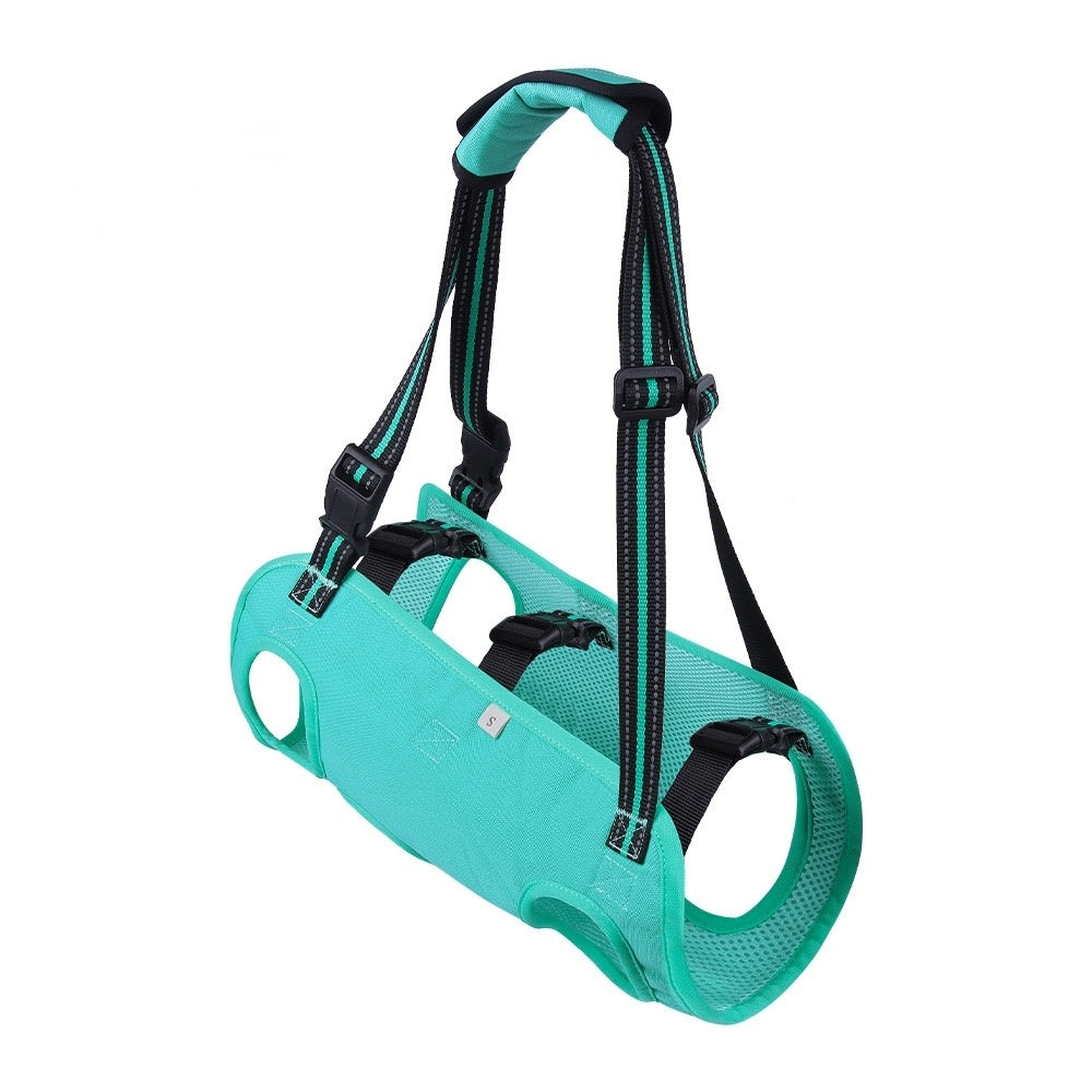 PawAble Dog Lift Harness & Backpack Carrier in Turquoise color