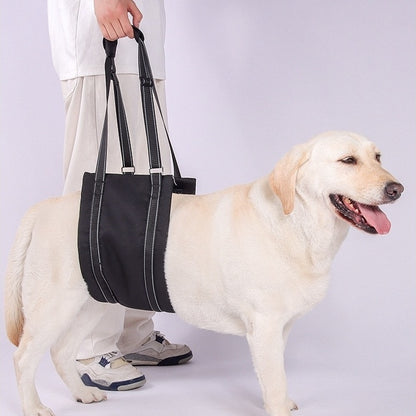 a dog wearing the black Dog Lift Harness Sling for hind legs