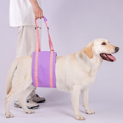 a dog wearing the purple Dog Lift Harness Sling for hind legs