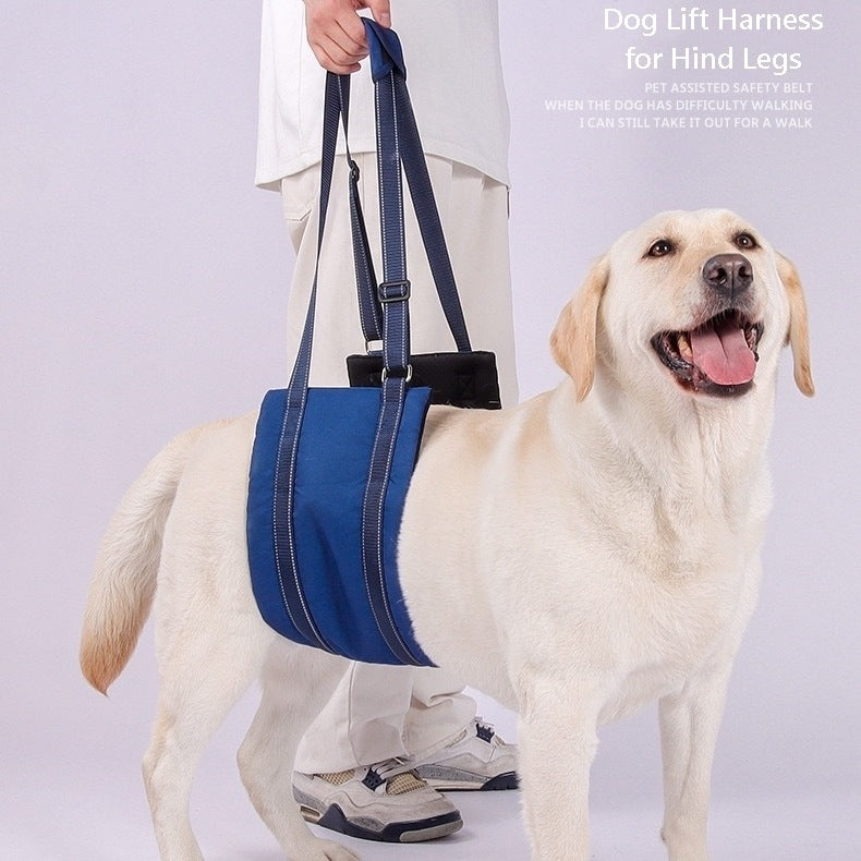 a big dog standing with assistance blue Dog Lift Harness Sling for hind legs