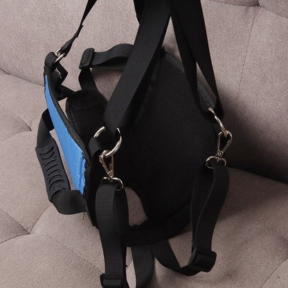 Show the dog lift hind legs support  from different angles