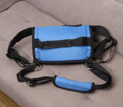 Show the dog lift hind legs support  from different angles