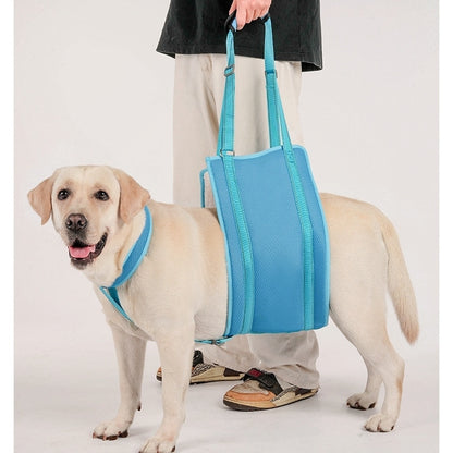 Dog wearing a blue harness with a bag over its back, standing next to a person on a white background.