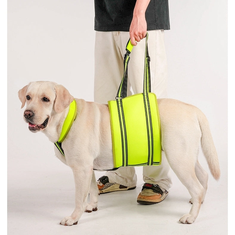 Dog wearing a bright green harness with a person holding it, on a white background