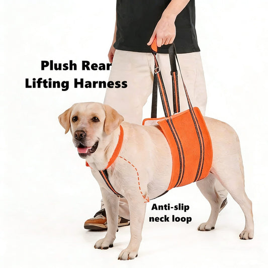 Dog wearing an orange plush rear lifting harness with text highlighting features.