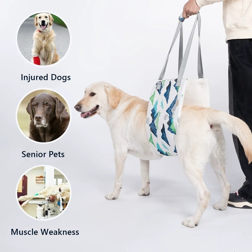 image showing various situation recommended for Pet Rear Lifting Harness