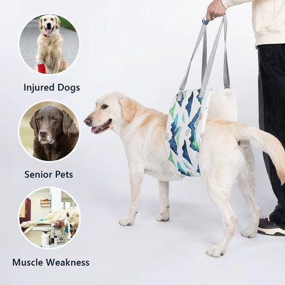 image showing various situation recommended for Pet Rear Lifting Harness