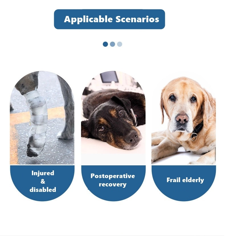 applicable scenarios of Dog Lift Support Sling Rear Lifting Harness