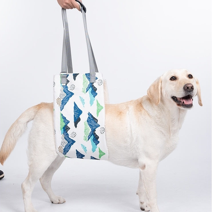 a dog wearing Dog Lift Support Sling