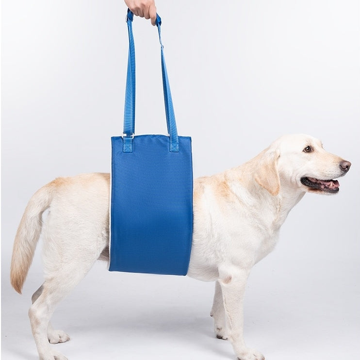 a dog wearing Dog Lift Support Sling Rear Lifting Harness