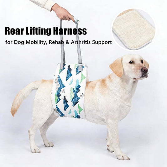 Dog Lift Support Sling – Rear Lifting Harness for Dog Mobility, Rehab & Arthritis Support