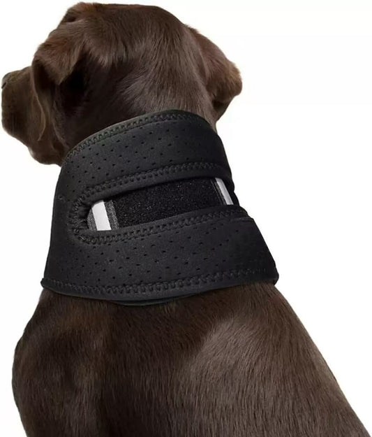 Dog Neck Brace for Cervical Spine Support