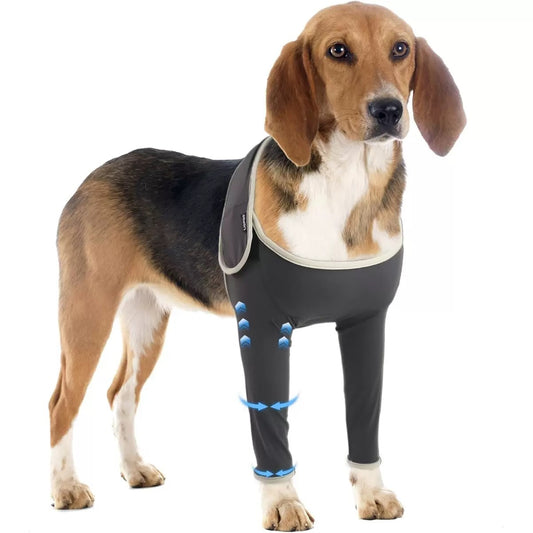 dog wearing Dog Recovery Sleeve for Front Leg