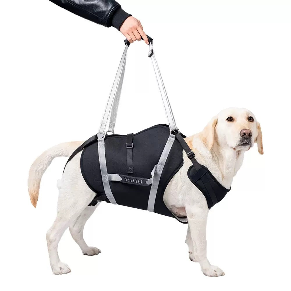Dog Support Harness Full Body Lift Sling for Large Dogs