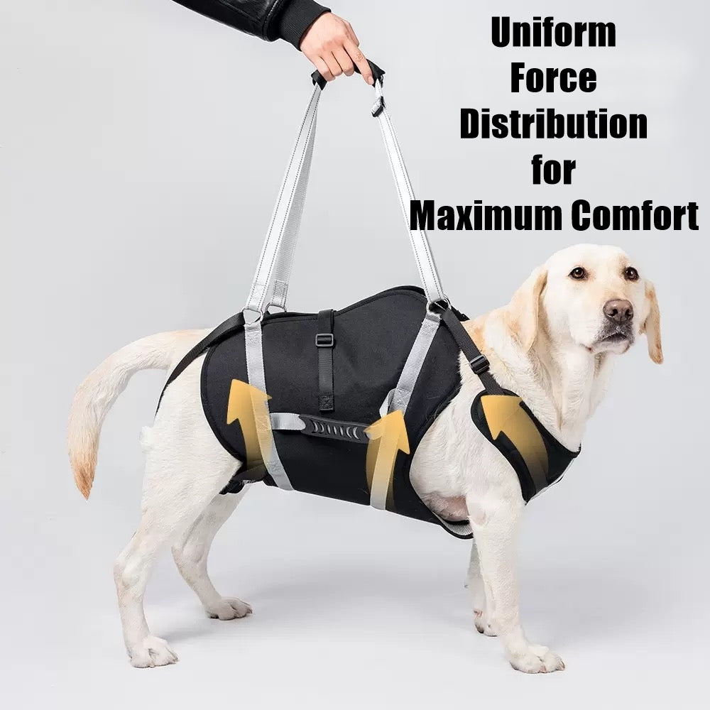 Dog Support Harness Full Body Lift Sling for Large Dogs