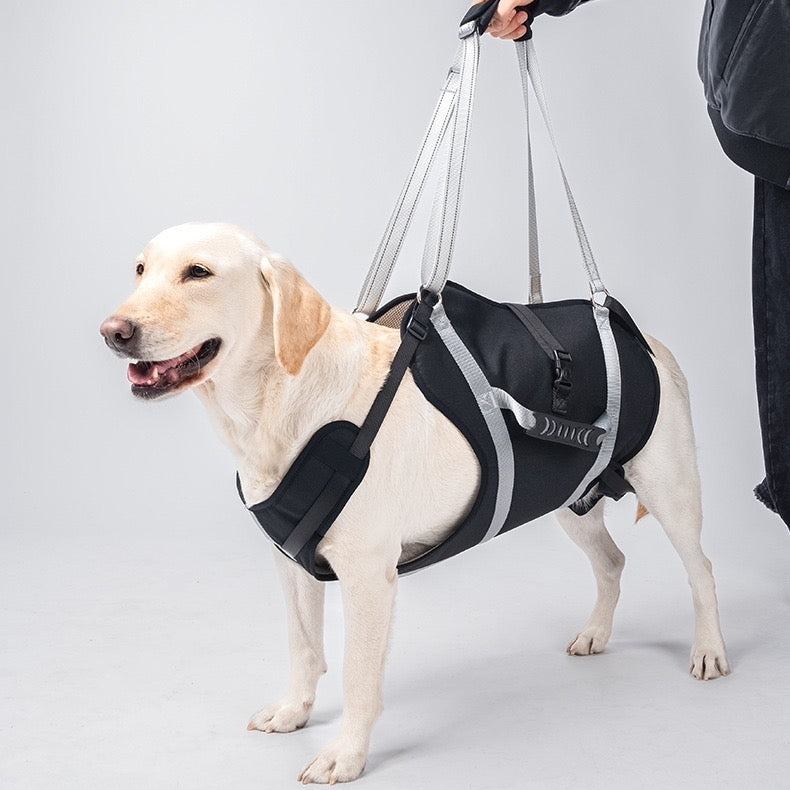 Dog Support Harness Full Body Lift Sling for Large Dogs