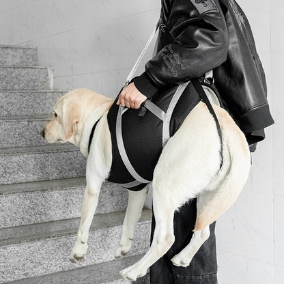 Dog Support Harness Full Body Lift Sling for Large Dogs