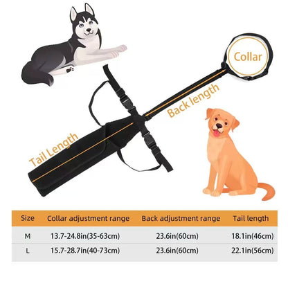 Dog tail protector with measurement chart and cartoon dogs