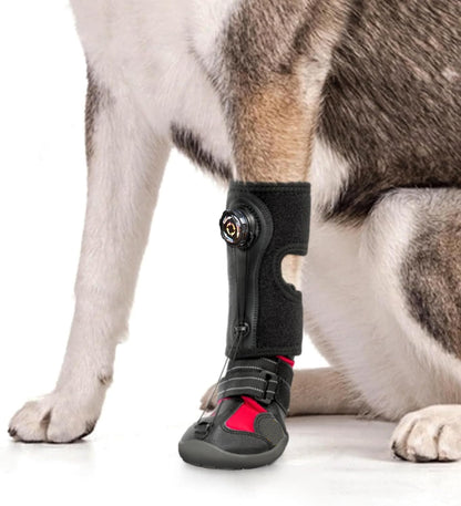 Dog wearing a black protective Dog Toe Dragging Brace Boot  Dog Shoe