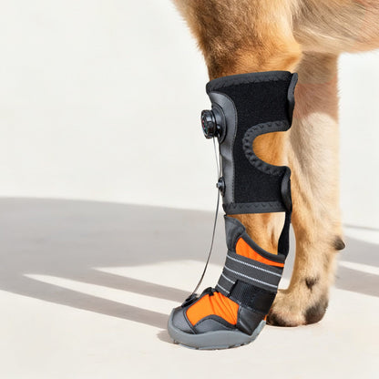 dog leg with protective boot on a white background