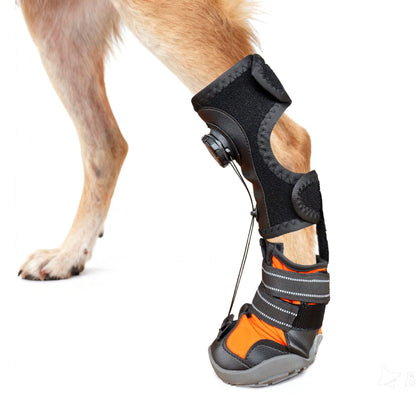 Dog's paw with a black and orange protective  Adjustable Knob Not Knuckling Dog Shoe