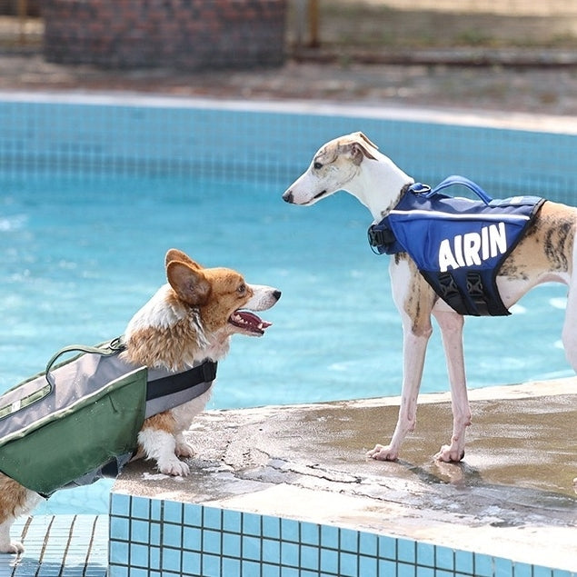 Dog Life Vest – Reflective & Adjustable Life Jacket For Pets