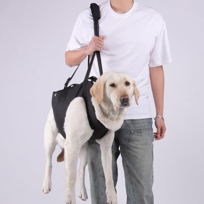 a dog comfortably sitting in the PawAble Dog Backpack Carrier, being carried hands-free