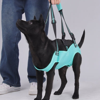 Disabled dog standing confidently with the PawAble dog mobility support harness.