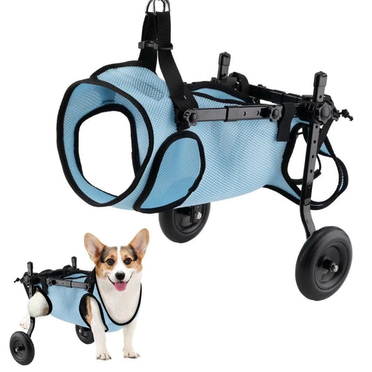 Dog Wheelchair for Back Legs | Small Size