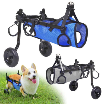 Dog Wheelchair for Back Legs | Small Size