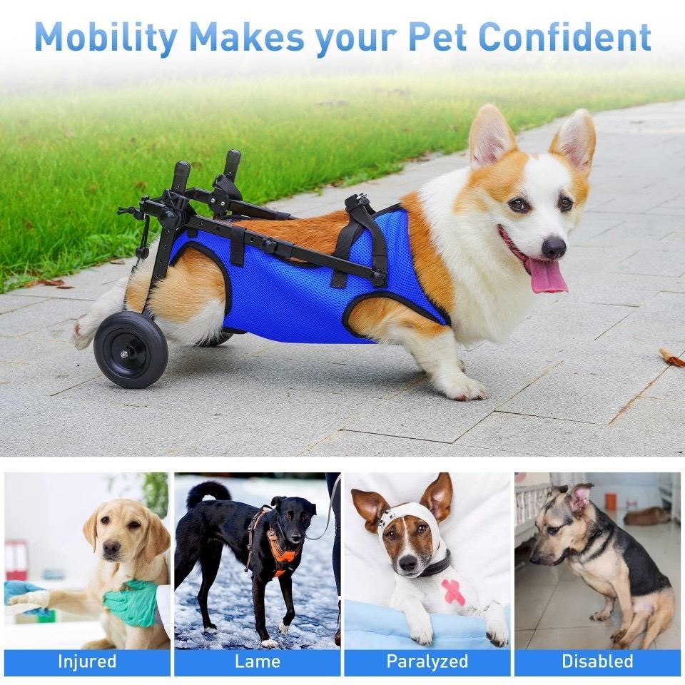 Dog Wheelchair for Back Legs | Small Size