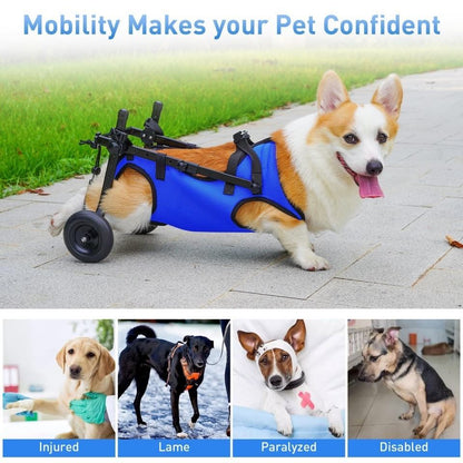 Dog Wheelchair for Back Legs | Small Size