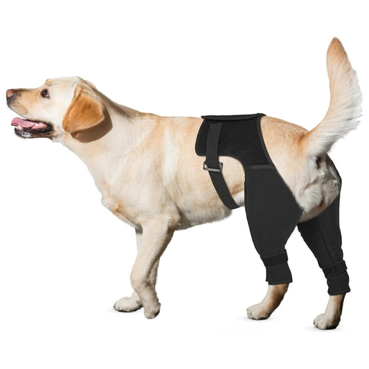 Double Drop Knee Brace for Dog Hind Legs