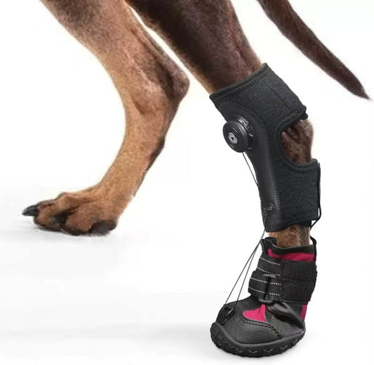 Drop Foot Brace for Dogs – Adjustable Corrective Dog Shoes with Non-Slip Sole