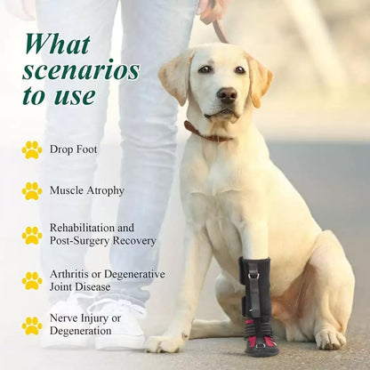 Drop Foot Brace for Dogs – Adjustable Corrective Dog Shoes with Non-Slip Sole