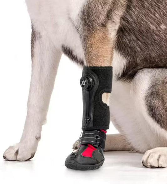Drop Foot Brace for Dogs – Adjustable Corrective Dog Shoes with Non-Slip Sole