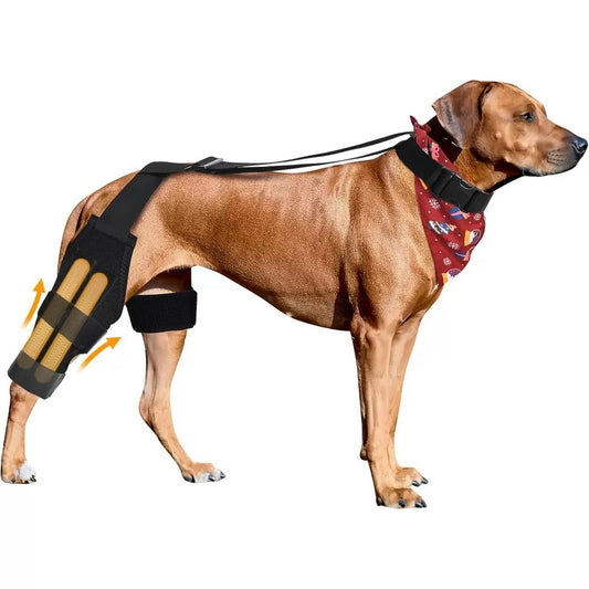 Drop Knee Brace for Dog Single Hind Legs