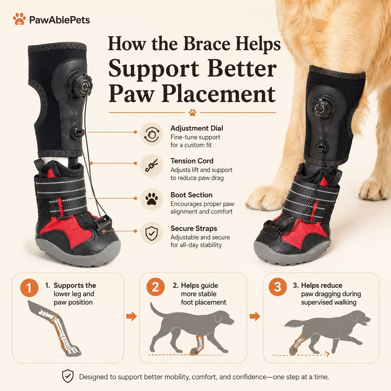 Drop Foot Brace for Dogs – Adjustable Corrective Dog Shoes with Non-Slip Sole