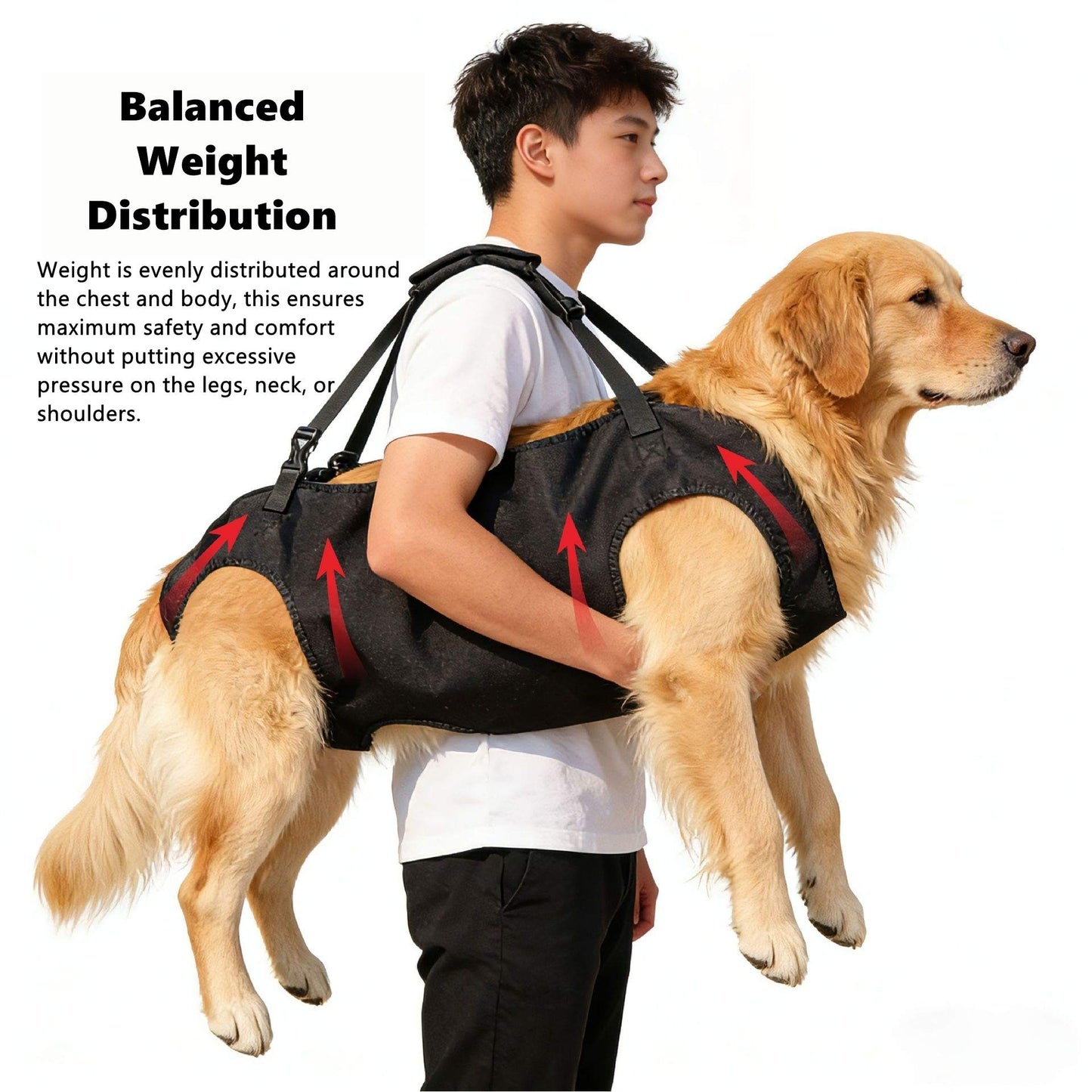 Dog wearing a black Dog Lift Support Harness with red arrows indicating the balanced weight distribution