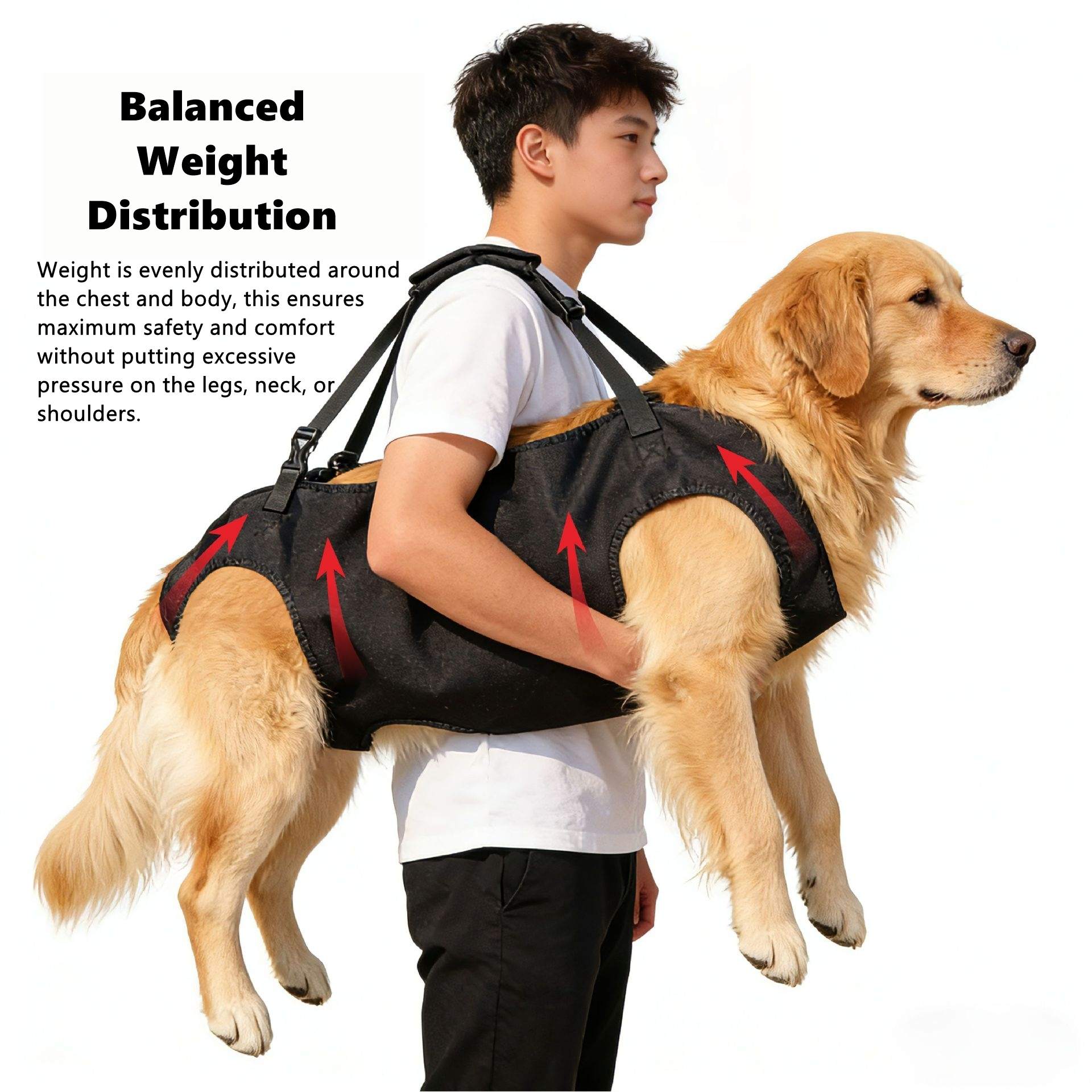Dog wearing a black Dog Lift Support Harness with red arrows indicating the balanced weight distribution