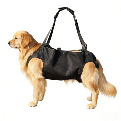 Dog wearing a black Lift Support Harness on a white background