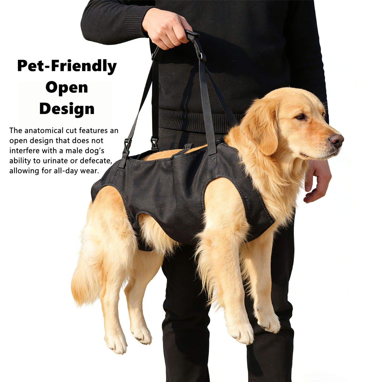 Dog wearing a black medical or support vest with text about pet-friendly open design.