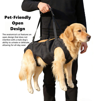 Dog wearing a black medical or support vest with text about pet-friendly open design.