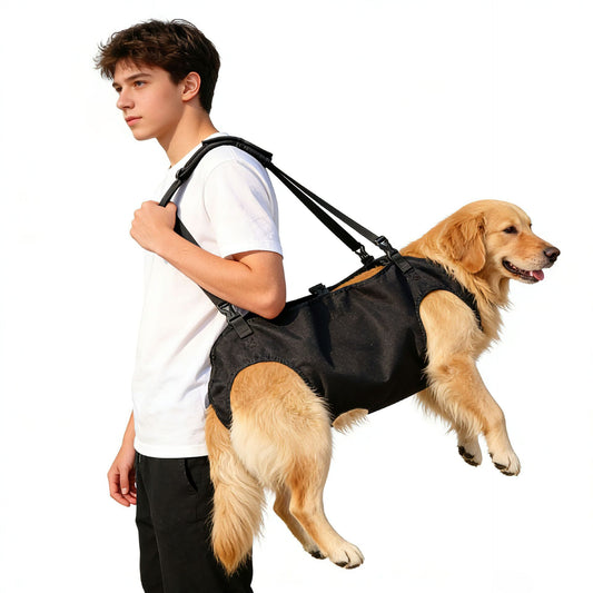 Person carrying a golden dog in a black Dog Lift Support Harness carrier on a white background